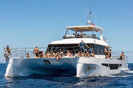 Exclusiv Katamaran Boot Morgens kreuzfahrt Gran Canaria Boat Trips 2026