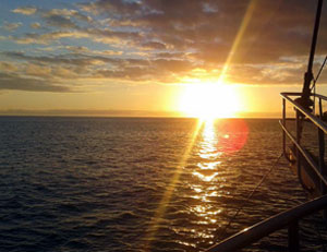 Click to see more photos