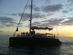 Dolphin Playa Catamaran Gran Canaria Boat Trips 2026
