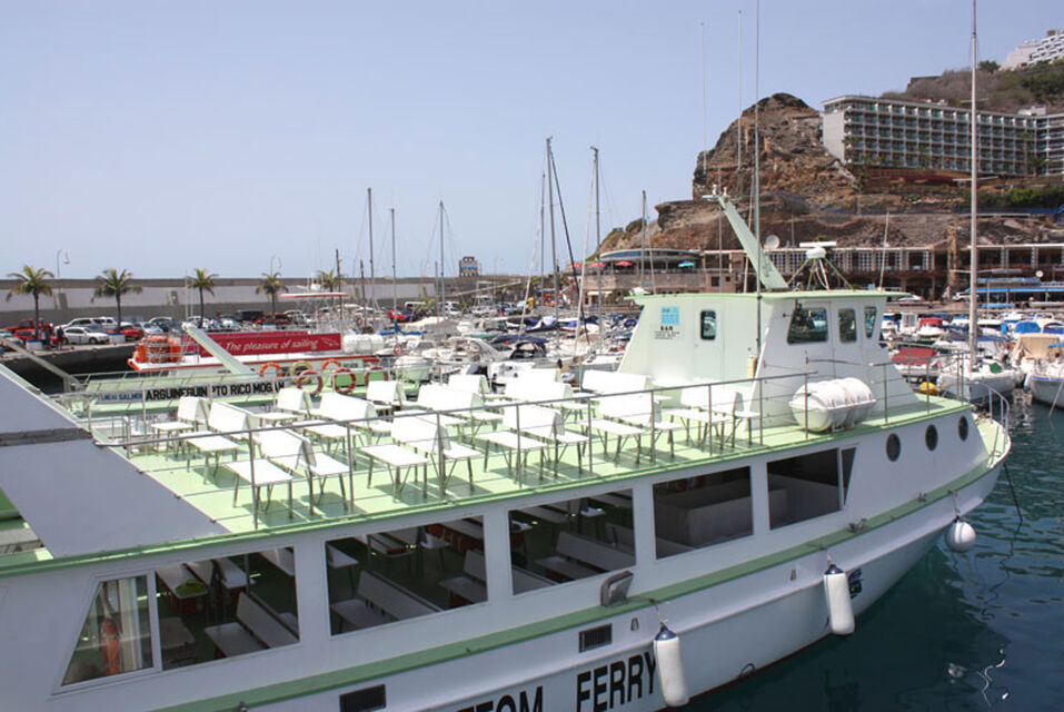 Kurtze Delfinen garantiert wahlen glazen boden boot tour Gran Canaria Boat Trips 2026