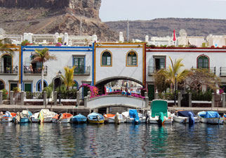 Combo SuperCat Delfinen Walen Markt Puerto Mogan Gran Canaria Boat Trips 2026