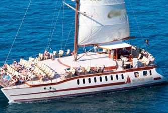 SuperCat Katamaran Delfinen und Walen suchen